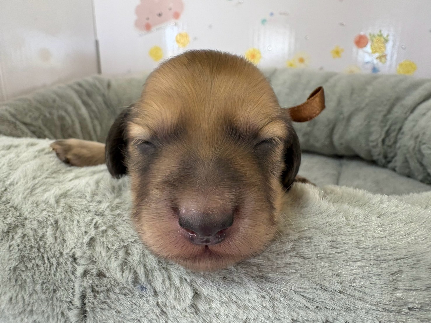 赤ちゃん写真1-1