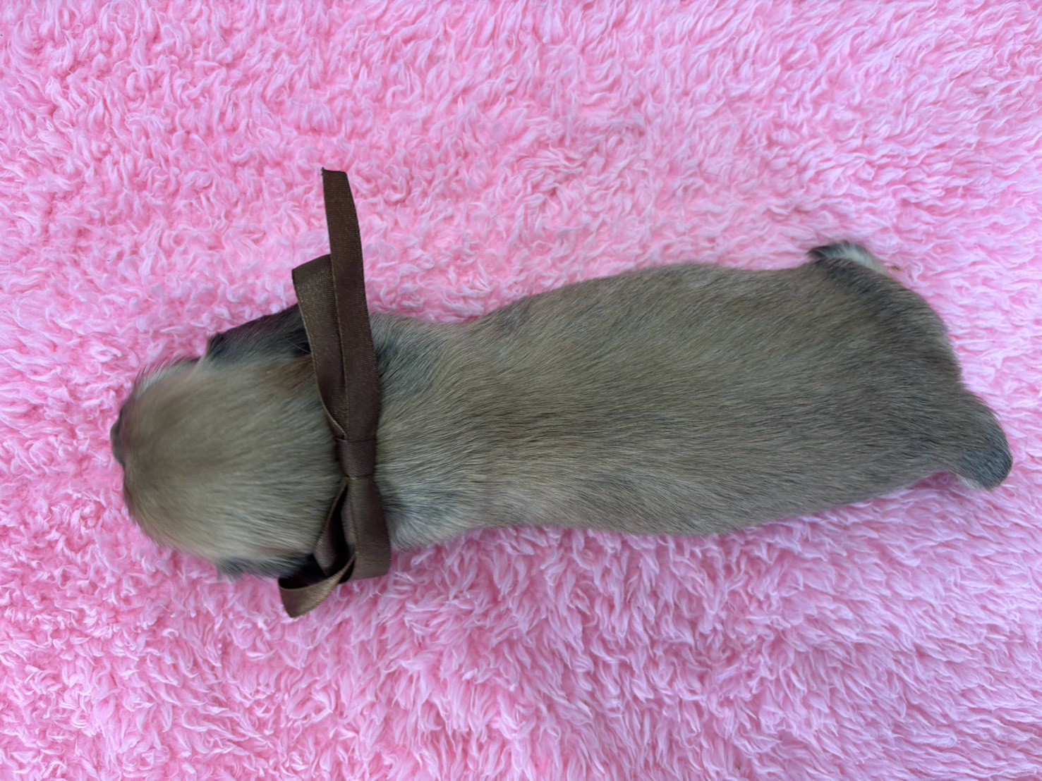 赤ちゃん写真2-3