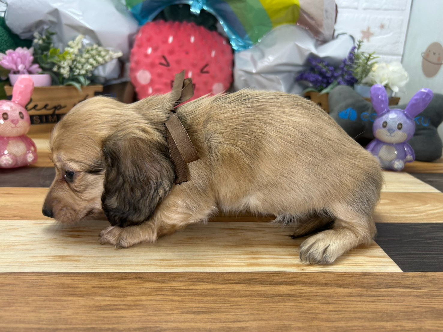 赤ちゃん写真3-2