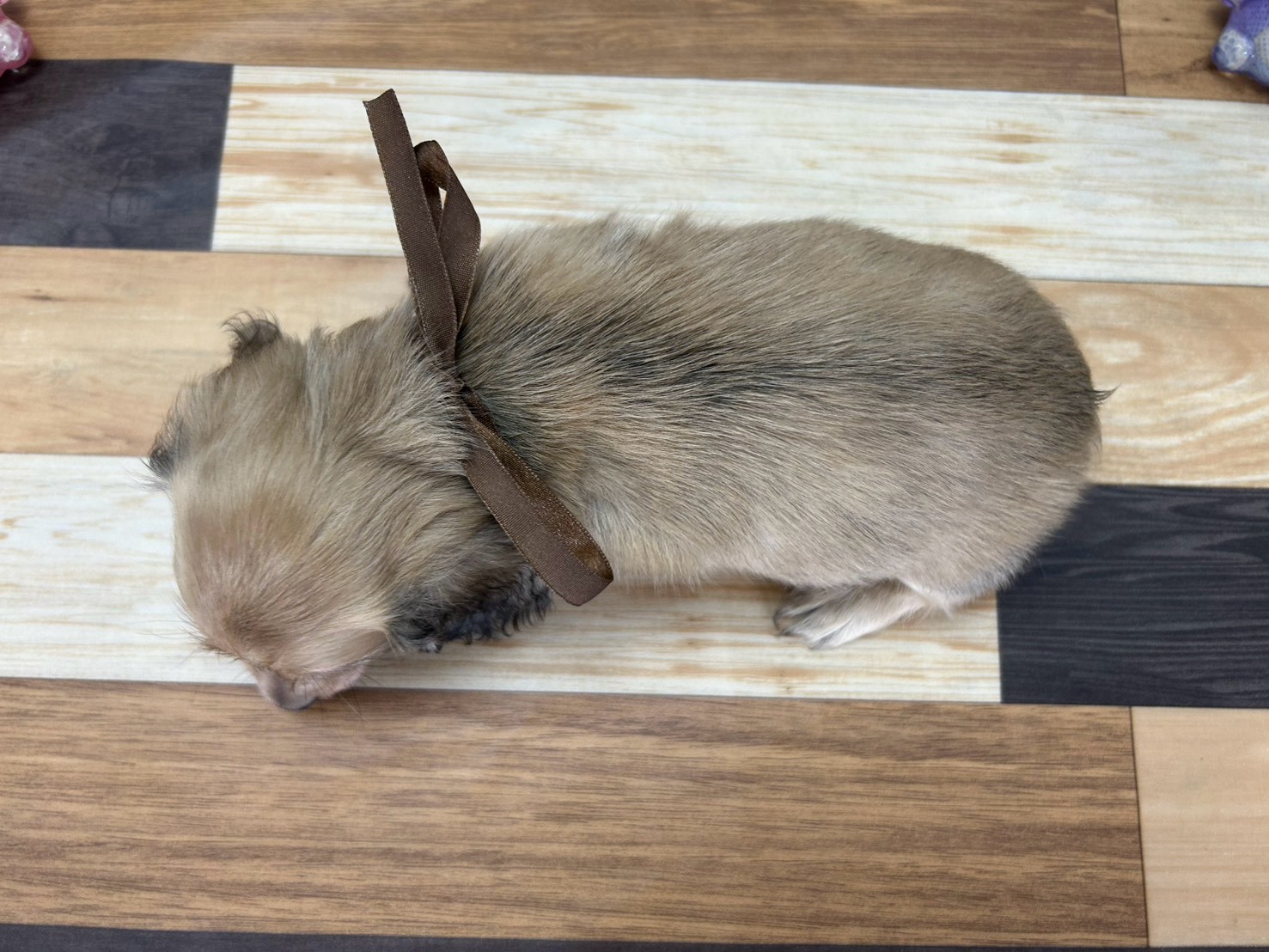 赤ちゃん写真3-3
