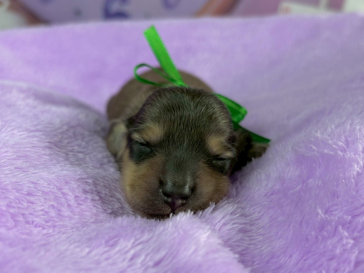 赤ちゃん写真1-1