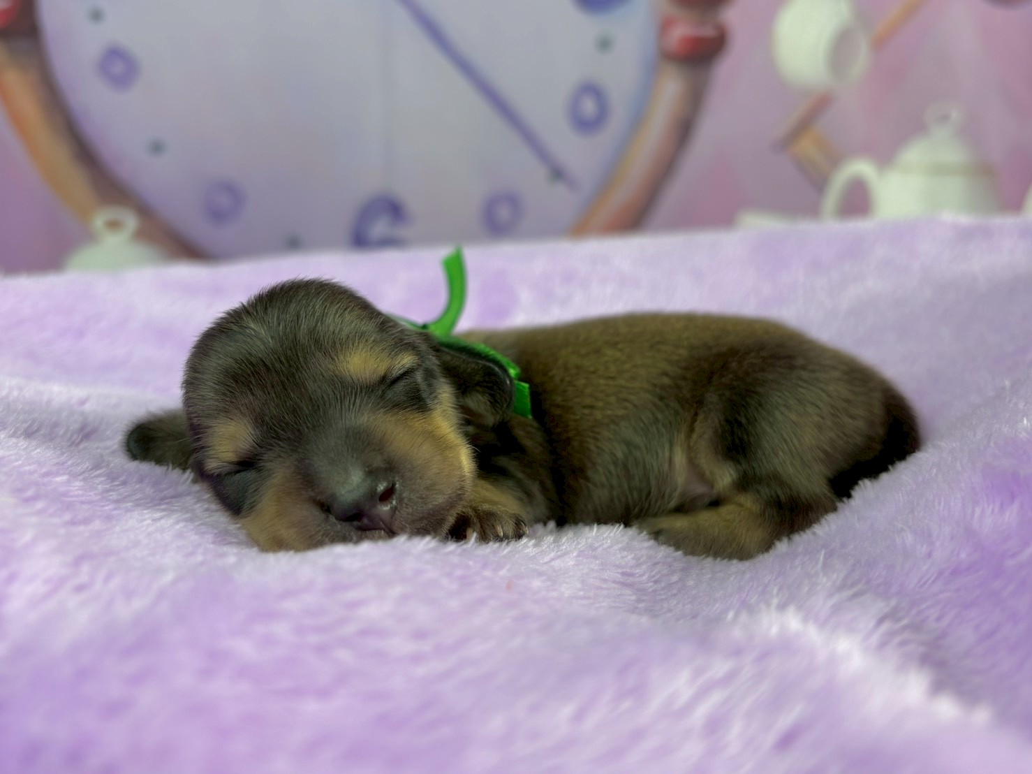 赤ちゃん写真1-2