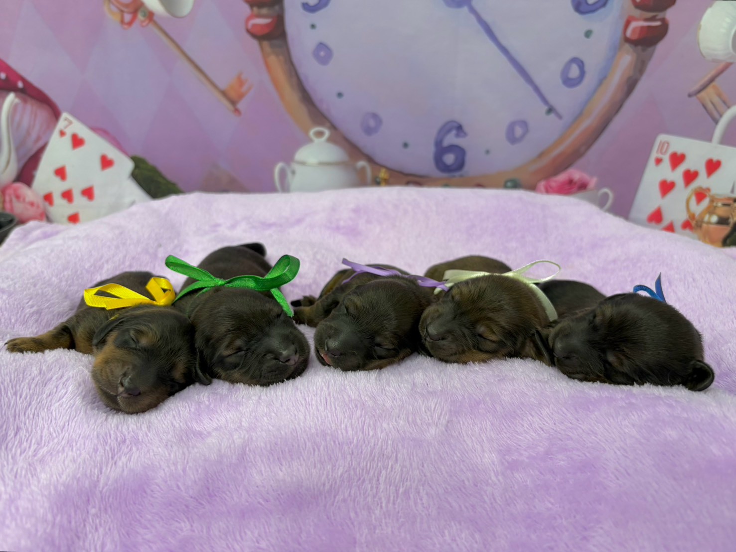赤ちゃん写真1-3