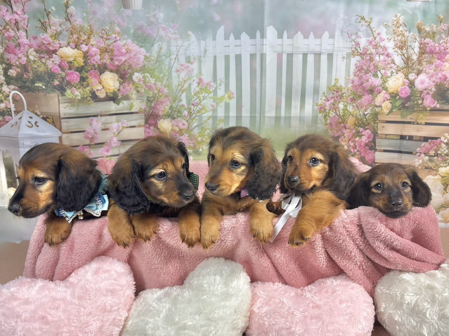 赤ちゃん写真3-3