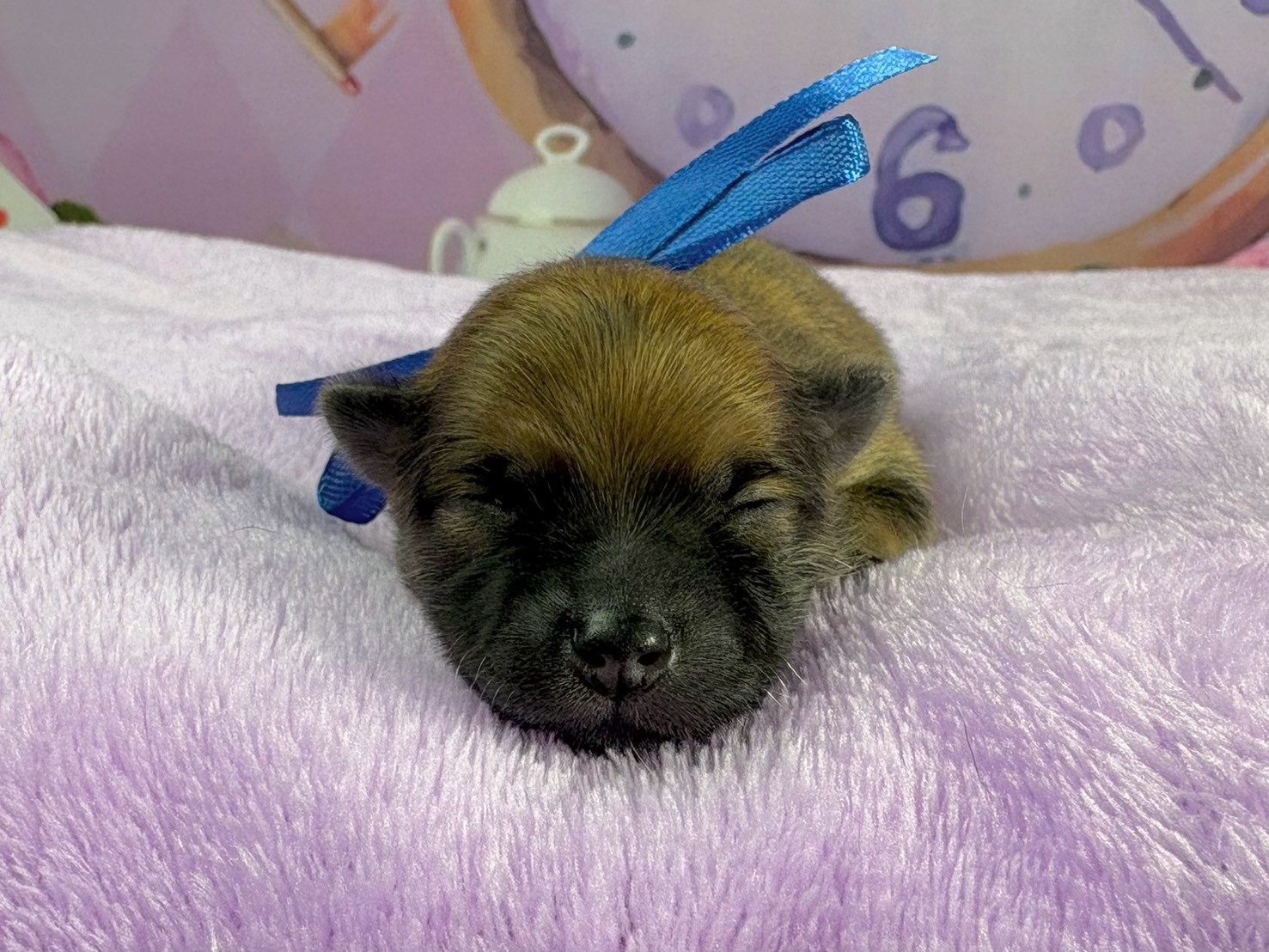 赤ちゃん写真1-1