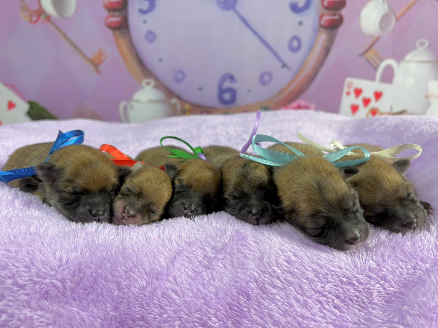 赤ちゃん写真1-3