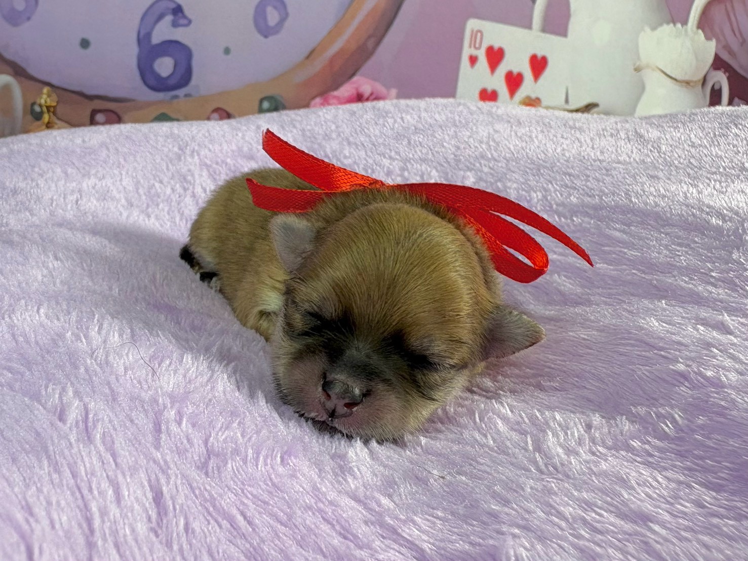 赤ちゃん写真1-1