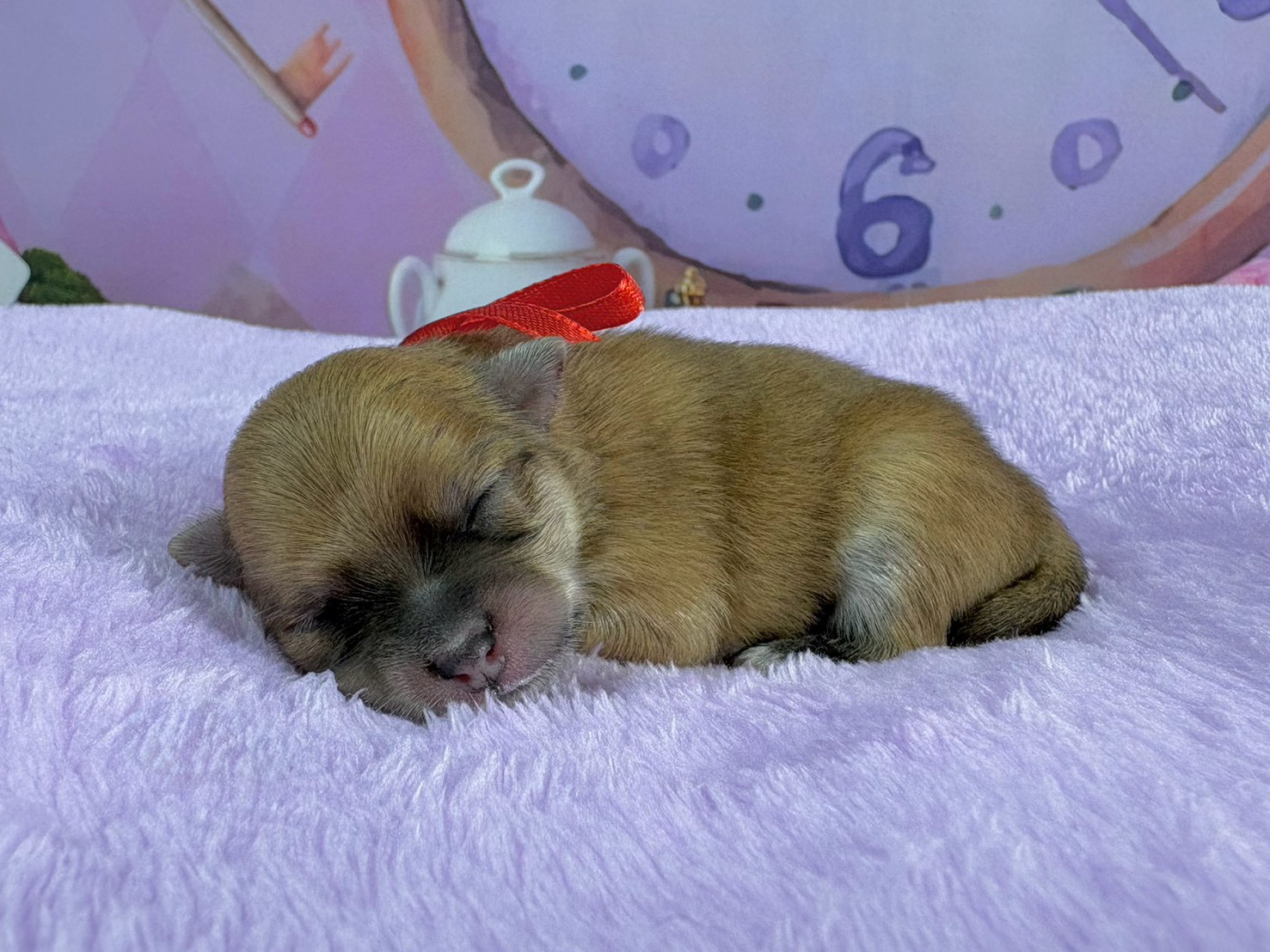 赤ちゃん写真1-2
