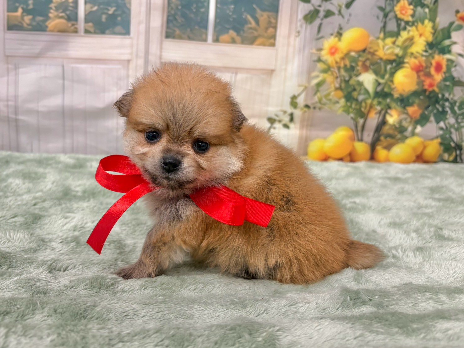 赤ちゃん写真2-2