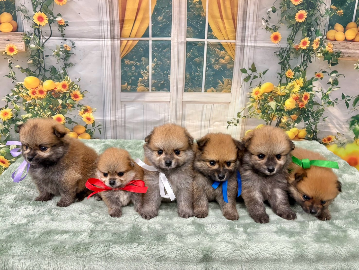 赤ちゃん写真2-3