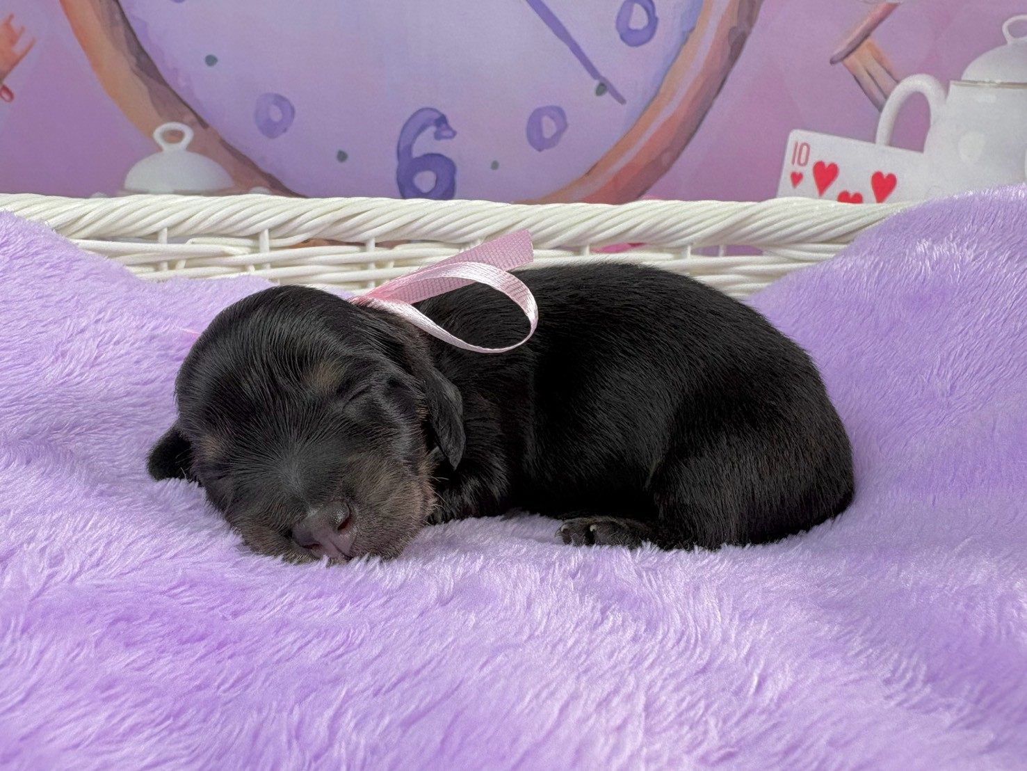 赤ちゃん写真1-2