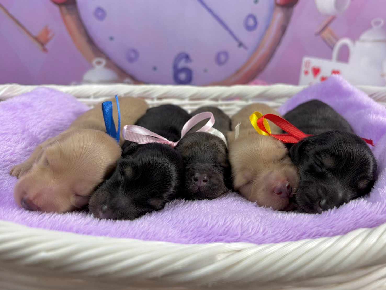 赤ちゃん写真1-3