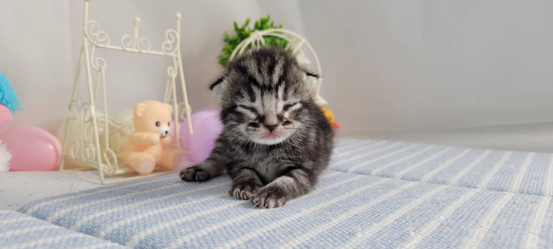 赤ちゃん写真1-1