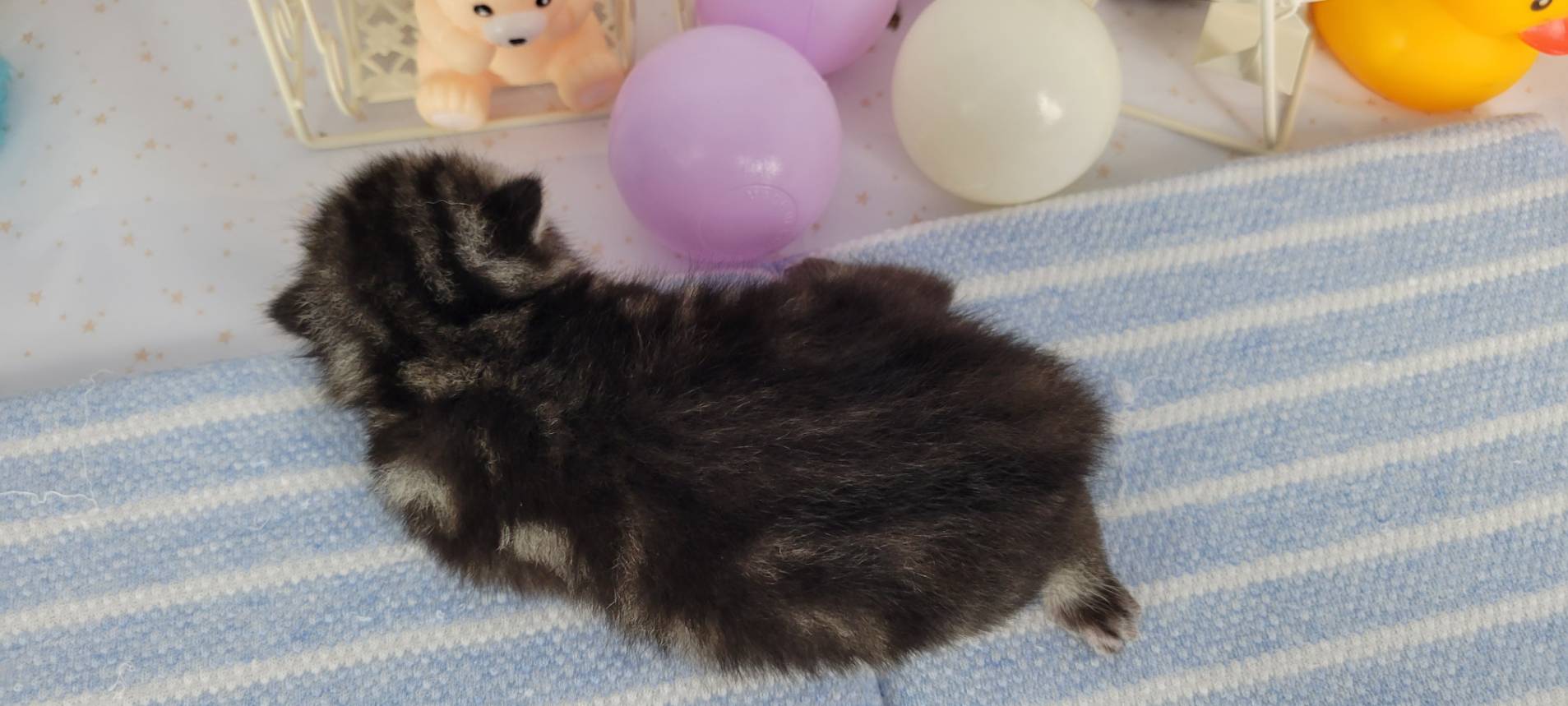 赤ちゃん写真1-3
