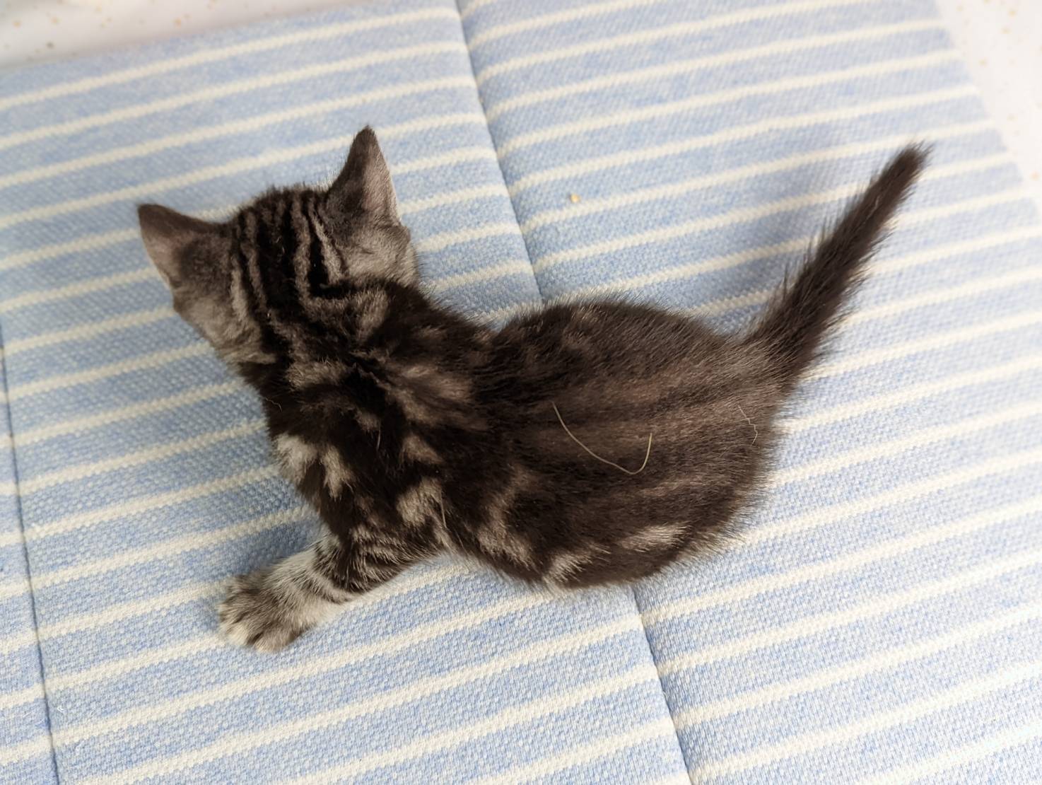 赤ちゃん写真2-3