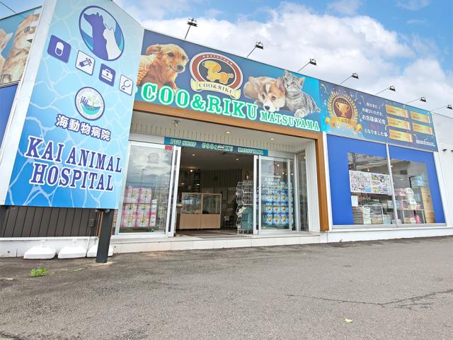愛媛松山店