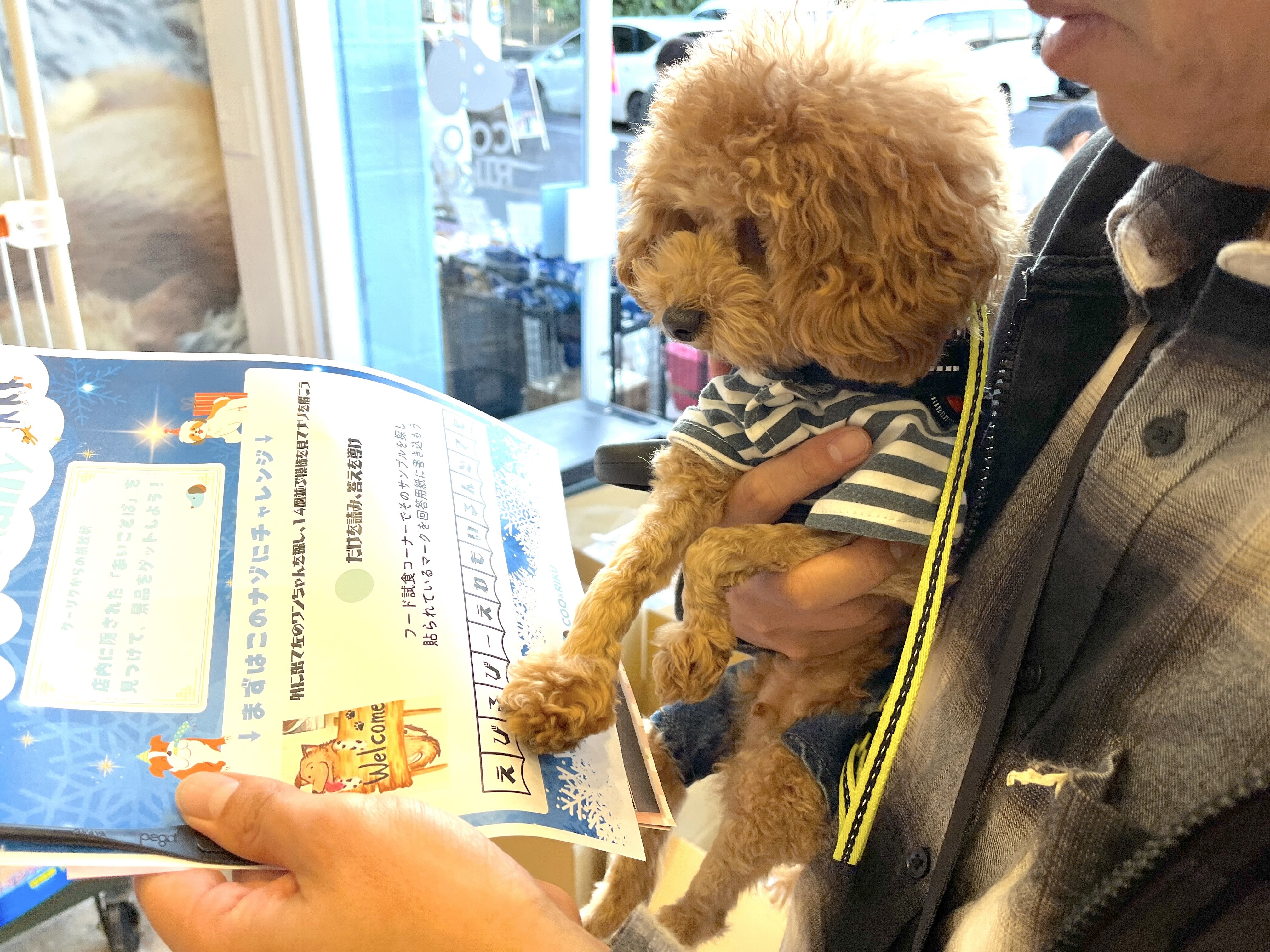練馬店周遊 謎解きツアー