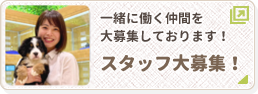 スタッフ大募集！