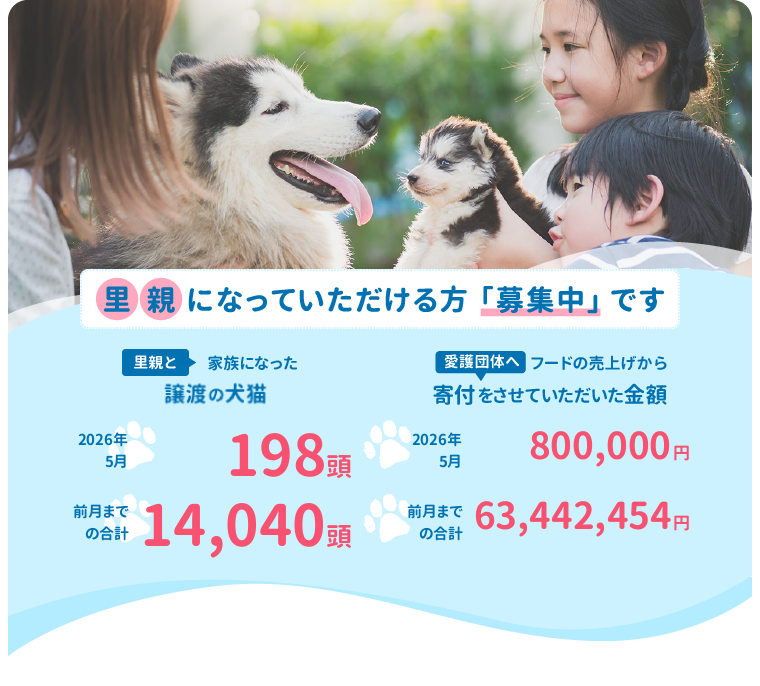 里親になっていただける方「募集中」です