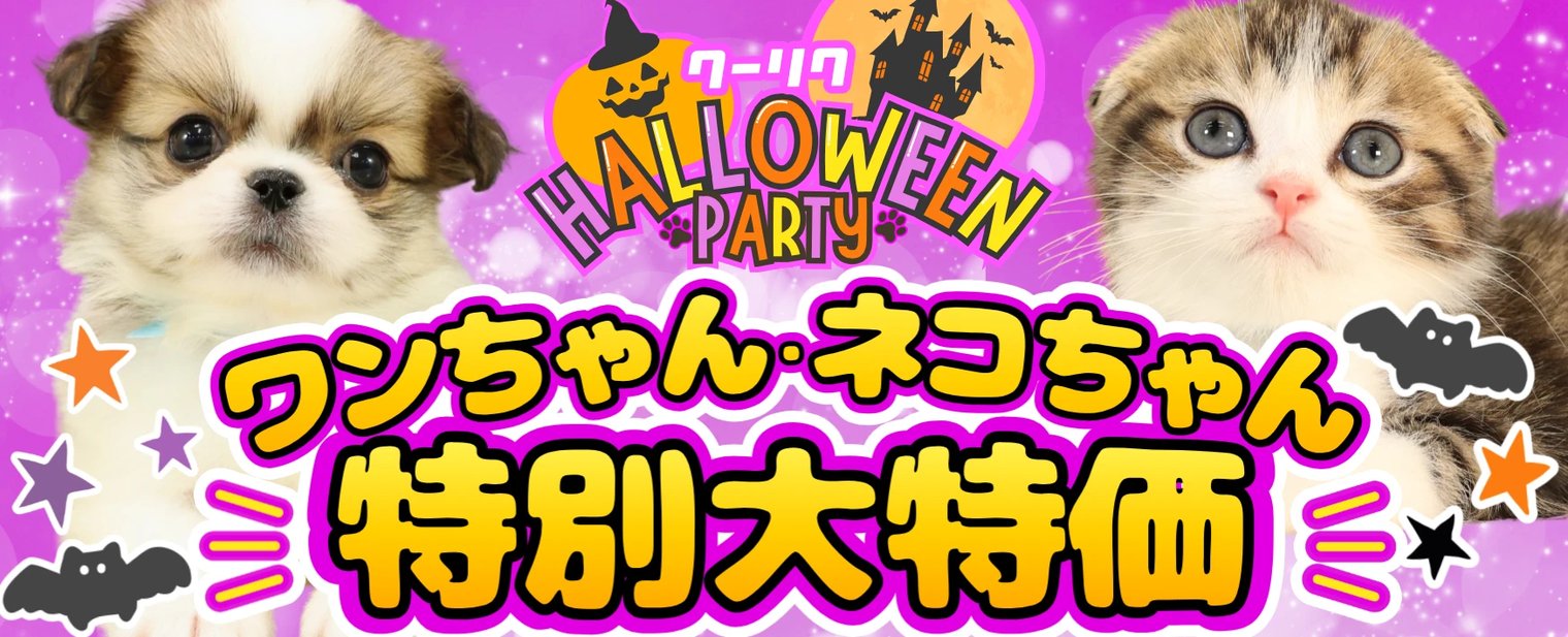 クーリクHALLOWEEN PARTY