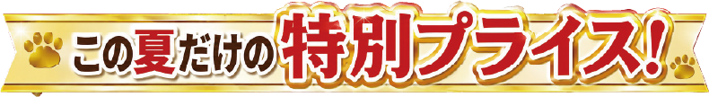 この夏だけの特別プライス