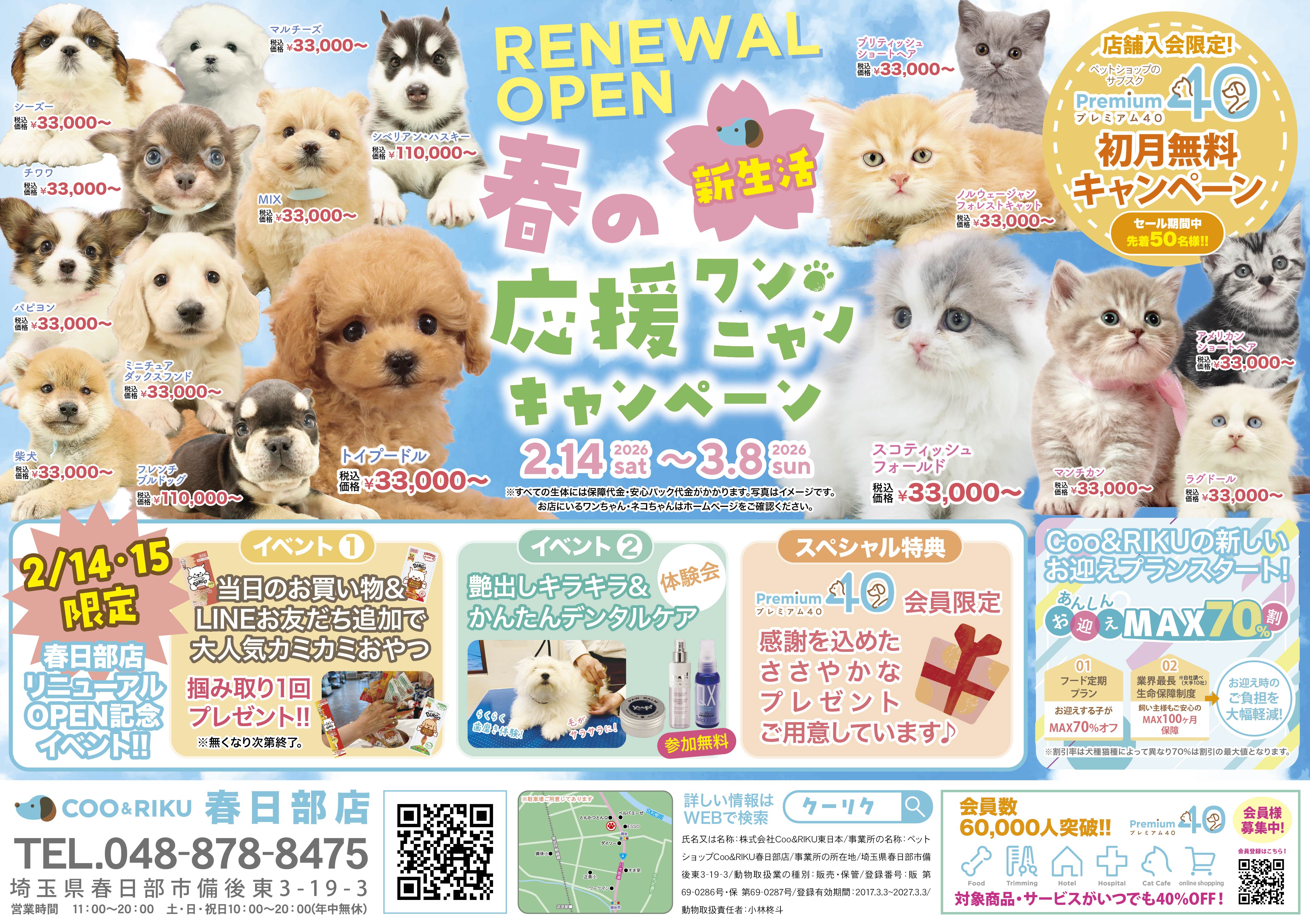 チラシ1