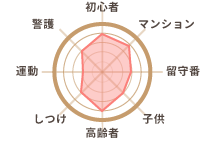 チワワ(ロングコート)