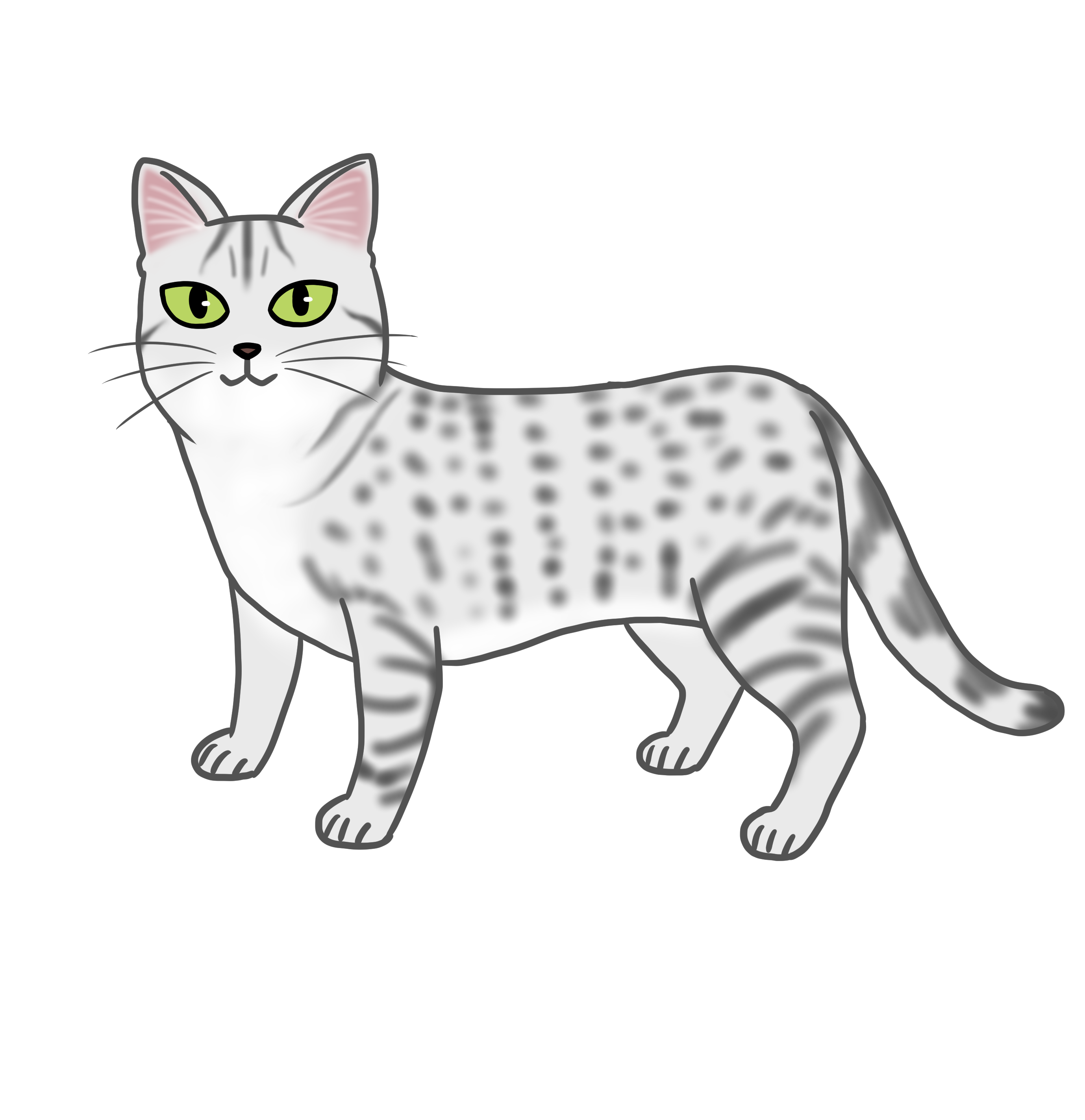 エジプシャンマウ