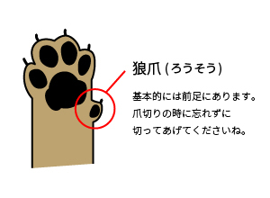 狼爪(ロウソウ)