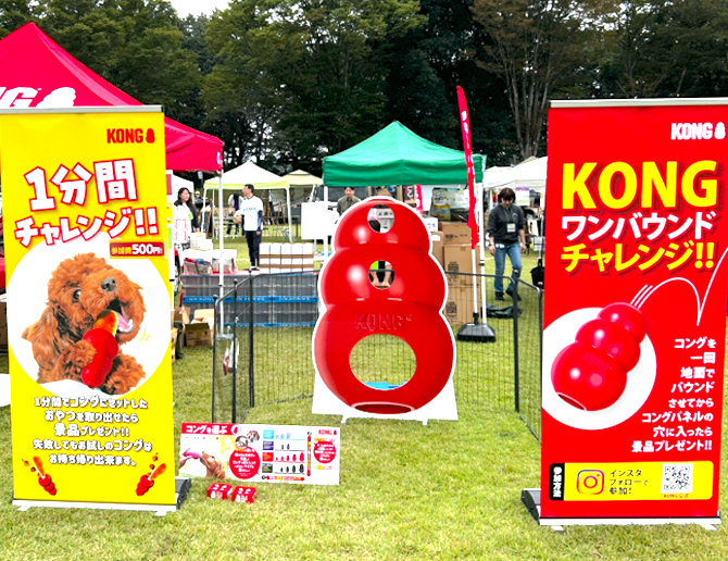 KONGチャレンジ