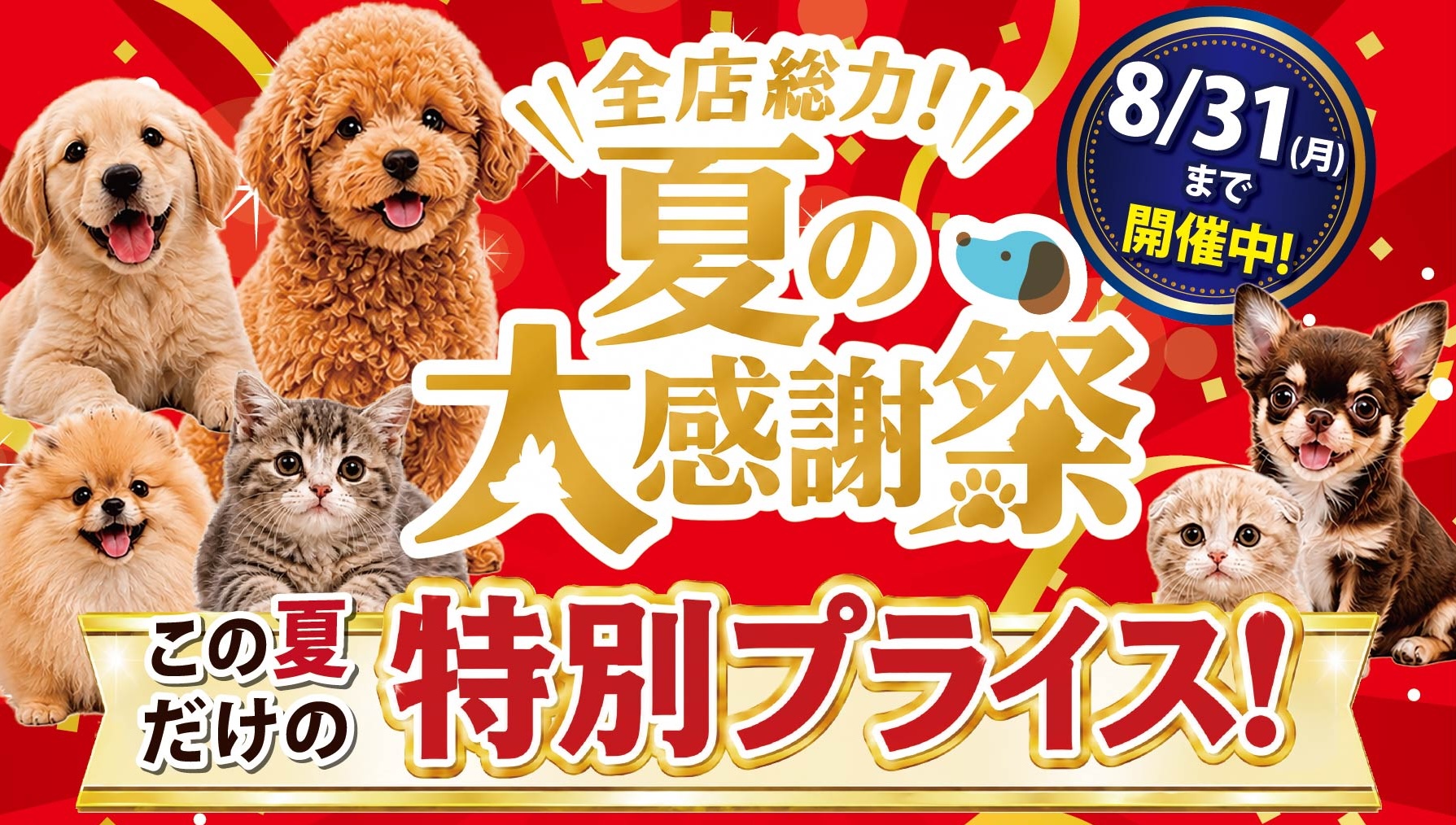 全店総力!! Coo&RIKU 夏の大感謝祭 メインビジュアル